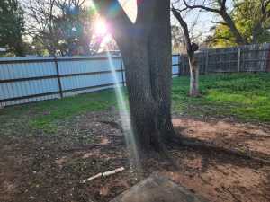 3005 Forest Trail (12)