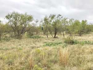 S Jameson Rd (10)