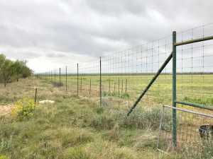S Jameson Rd (11)