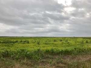 S Jameson Rd (3)