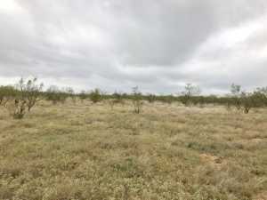 S Jameson Rd (9)