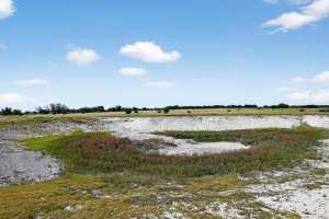 37 County Rd 134 (12)