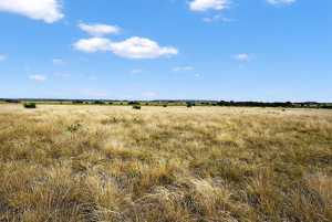 37 County Rd 134 (10)