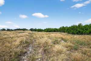 37 County Rd 134 (8)