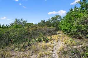 37 County Rd 134 (21)