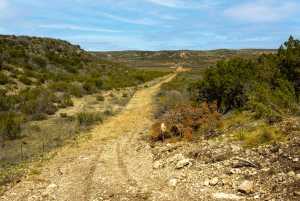 Poverty Canyon Rd (19)