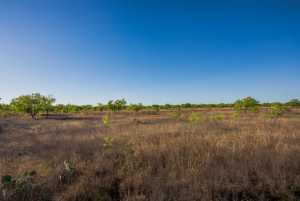 3980 US Hwy 83 (11)