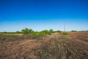 3980 US Hwy 83 (12)