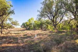 3980 US Hwy 83 (15)