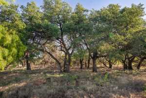 3980 US Hwy 83 (18)