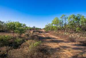 3980 US Hwy 83 (2)