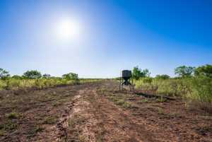 3980 US Hwy 83 (21)