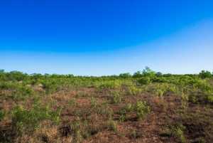 3980 US Hwy 83 (26)