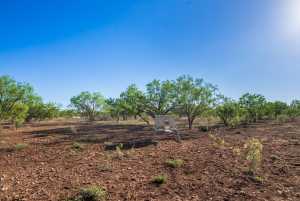 3980 US Hwy 83 (27)
