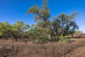 3980 US Hwy 83 (3)