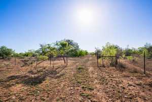 3980 US Hwy 83 (28)