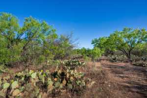 3980 US Hwy 83 (31)
