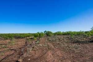 3980 US Hwy 83 (35)