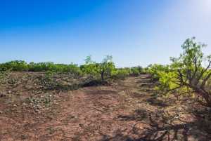 3980 US Hwy 83 (36)
