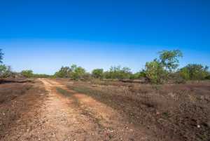 3980 US Hwy 83 (4)