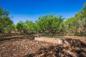 3980 US Hwy 83 (40)
