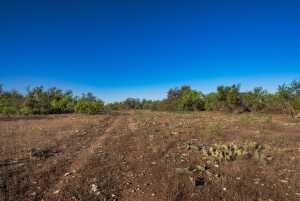 3980 US Hwy 83 (6)