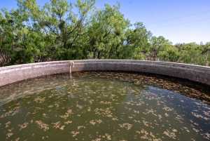 3980 US Hwy 83 (60)