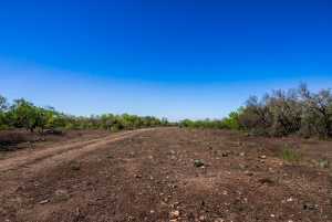 3980 US Hwy 83 (62)