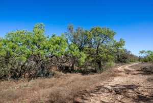 3980 US Hwy 83 (66)
