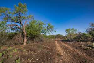 3980 US Hwy 83 (7)