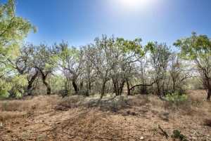 3980 US Hwy 83 (68)