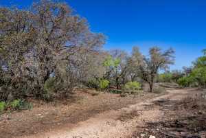 3980 US Hwy 83 (69)