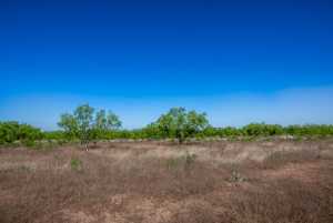 3980 US Hwy 83 (71)