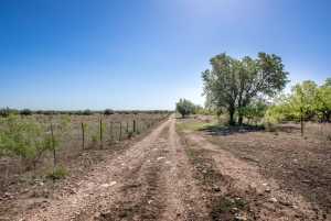 3980 US Hwy 83 (73)