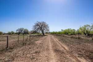 3980 US Hwy 83 (74)