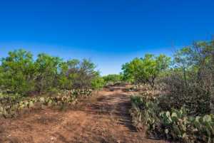 3980 US Hwy 83 (26)