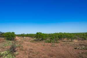 3980 US Hwy 83 (30)