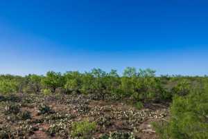 3980 US Hwy 83 (32)
