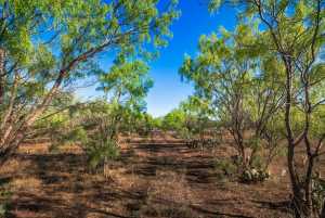 3980 US Hwy 83 (36)