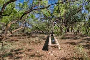 3980 US Hwy 83 (51)