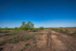 3980 US Hwy 83 (7)