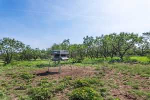 3980 US Hwy 83 (79)