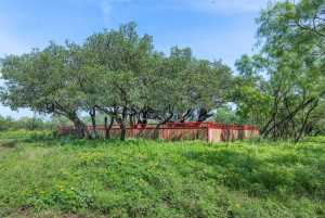 3980 US Hwy 83 (83)