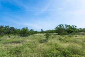 3980 US Hwy 83 (87)