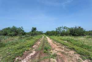 3980 US Hwy 83 (88)