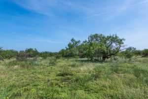 3980 US Hwy 83 (89)