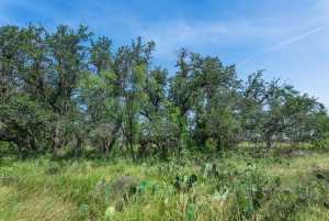 3980 US Hwy 83 (90)