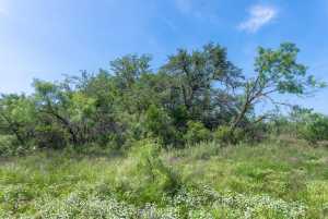 3980 US Hwy 83 (92)