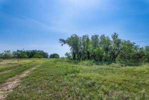 3980 US Hwy 83 (93)