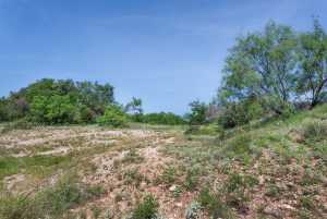 3980 US Hwy 83 (94)